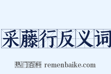 采藤行反义词是什么意思的图片